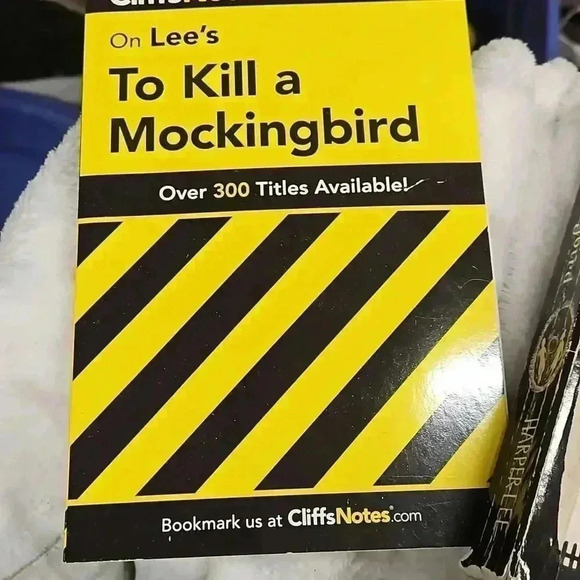 To kill a Mockingbird​ - Picture 3 of 4